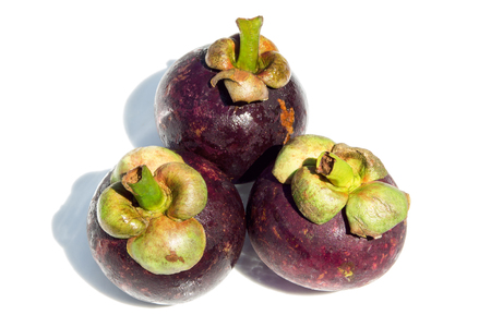 Mangosteen fruitの写真素材