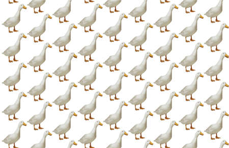 Repeating white and orange duck pattern illustrationのイラスト素材