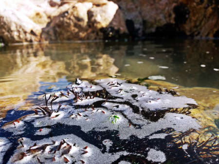 Abstract water flow backgroundの写真素材