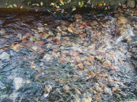 A splash of fresh water running through the rocksの写真素材