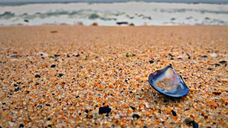 At the beachの写真素材