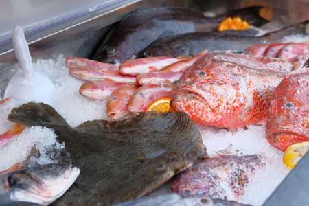 Assortment of shiny fresh fish of different hues on ice. Fish market.