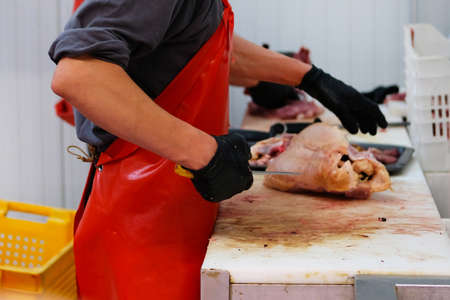 Butcher in red apron chopping poultry meat. Cutting shop of farm market.の写真素材