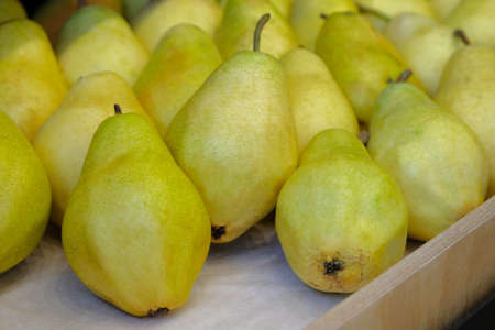 Lot of ripe fresh juicy pears are sold at vegetable shop. Pears lie on shelf in grocery store.の写真素材