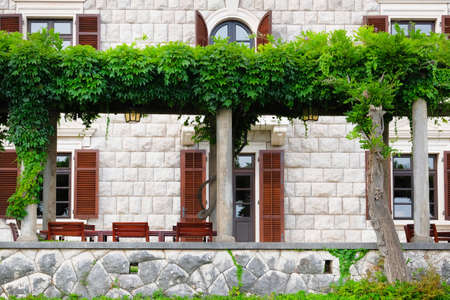 Pergola with green plants in front of hotel on Mediterranean coast. Landscaping and decoration of hotel exterior.の写真素材