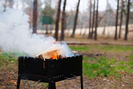 BBQ with burning firewood. Wood fire prepared for barbecue. Grilling season in nature open.