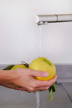 Hands woman washing yellow juicy fruits. Washing vegetables and fruits concept. Hands of housewife...