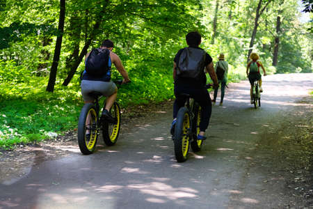Fat biking riding  in park on sunny day among many green trees. Fat bikes and healthy lifestyle....