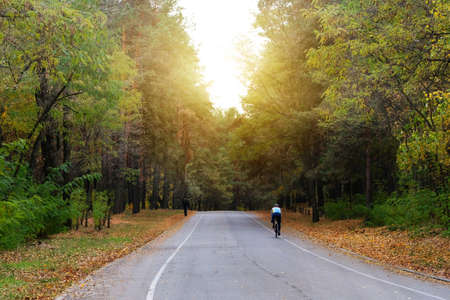 Sport and active healthy life concept. Cyclist in protective in autumn coniferous forest . Riding on...