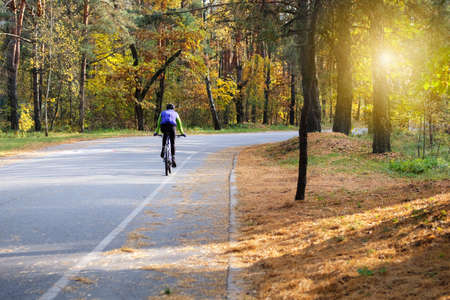 Cyclist in protective in autumn coniferous forest . Riding on bike on sunny day among many trees. Healthy lifestyle. Sport and active life concept.の写真素材