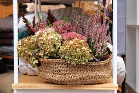 Scandinavian design style in the house. Hydrangea and heather in interior design. Decorative spicy...