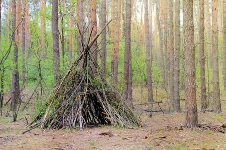 Primitive shelter from all natural materials. Forest hut in summer forest.