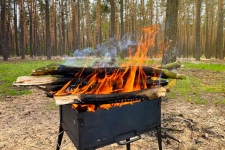 Firewood burns in grill, preparing coals for grilling. Barbecue on nature. Wood fire prepared for...