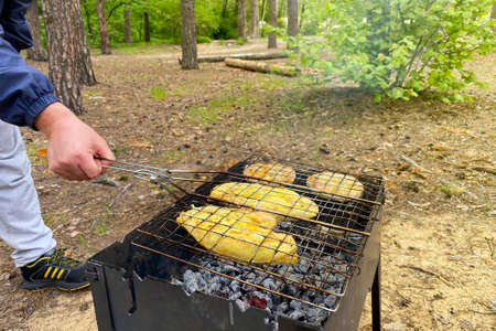 Grilling season in nature open. Man fries raw chicken on grill. Picnic in outdoors in forest.