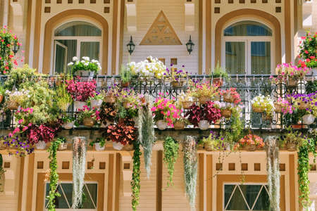 Blooming flowers in pots on street in residential complex. Pots with flowers adorns exterior of...