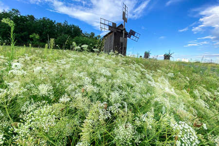 Idyllic countryside. Retro mill in Ukrainian culture museum.の写真素材