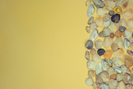 Sea shells on a yellow background. Top view. Copy space.