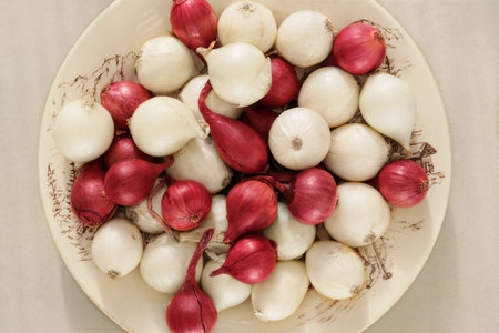 Onion in a clay plate on white background. Salad purple and white onion in rustic bowl.の写真素材
