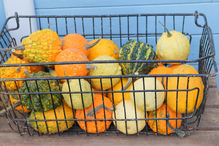 Decorative pumpkins are sold at the local market. Pumpkins with rural decor on haystack. Autumn...