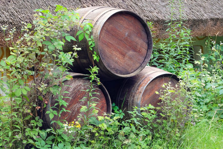 Old and weathered wooden barrel against green background in village.の写真素材