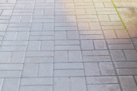Pedestrian zone in park in sunny daylight. Paving slab. Grey background.の写真素材