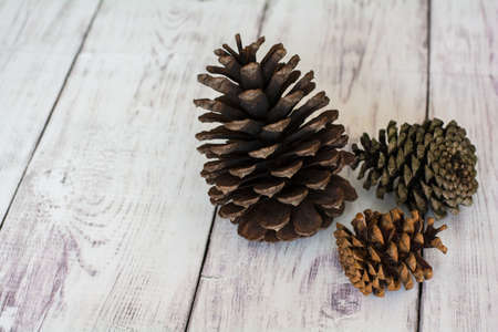 Three Rustic Pinecones on a White Barn Board Floorの写真素材