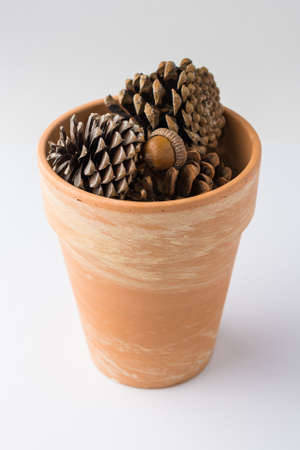 Clay Pot of Pinecones on White Background Front Viewの写真素材