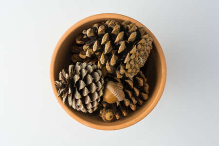 Clay Pot of Pinecones on White Background Top Viewの写真素材