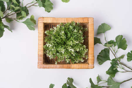 Plant in Wicker Basket with Branches Flat Lay Top Viewの写真素材