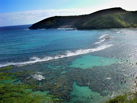 Hanamu Bay, Oahu, Hawaii  Snorkeling in Hanamu Bayの写真素材