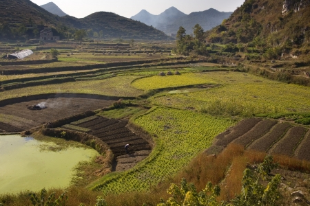 Chinese Peasant Working Fields, Guiyang, Guizhou, Chinaの写真素材