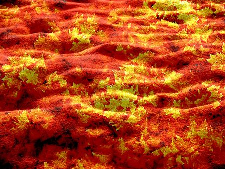 Chemical Crystals for Glycine の写真素材