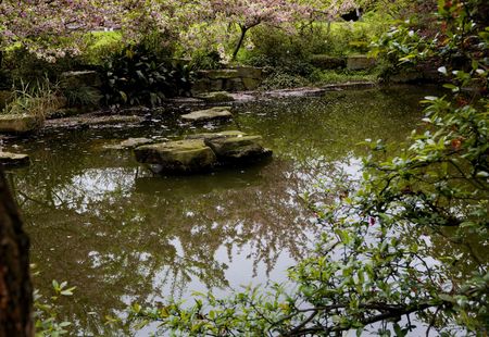 Temple Pond Reflection Cherry Blossoms Chengdu Sichuan China

の写真素材