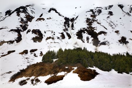 Snow Mountains Brown Earth and Green Trees, Seward Highway, Anchorage, Alaska
の写真素材