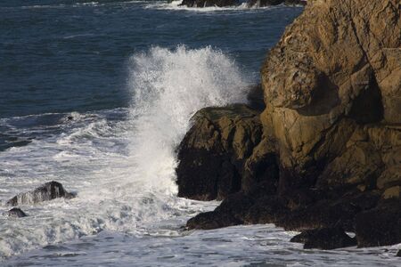 White Surf Water Crashing Cliffs Seaweed Point Lobos Seal Rocks San Francisco Californiaの写真素材