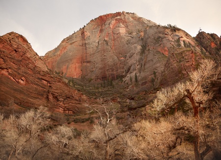 Red Rock Zion National Park Utah Southwest の写真素材