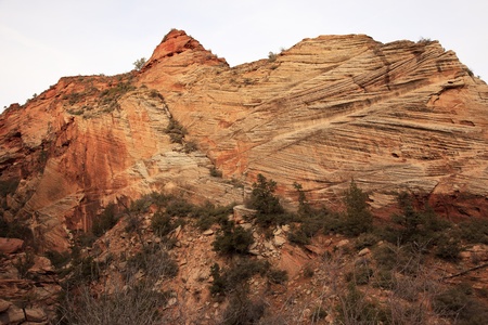 Orange White Checkerboard Mesa Stratified Rocks Zion Canyon National Park Utah Southwest の写真素材