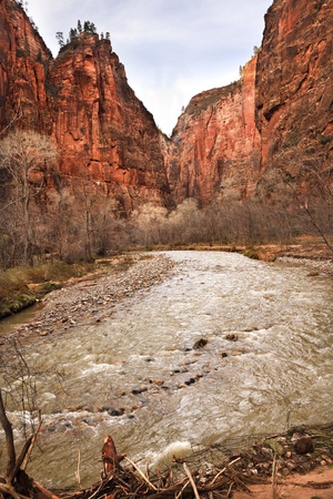 Virgin River Red Rock Canyon Zion National Park Utah Southwest の写真素材