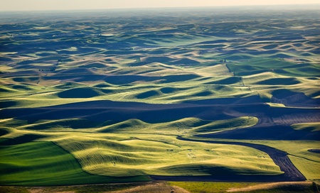 Yellow Green Wheat Fields Black Dirt Fallow Land from Steptoe Butte at Palouse Washington State Pacific Northwest.  Steptoe Butte is the highest spot in the Palouse, Washington.の写真素材