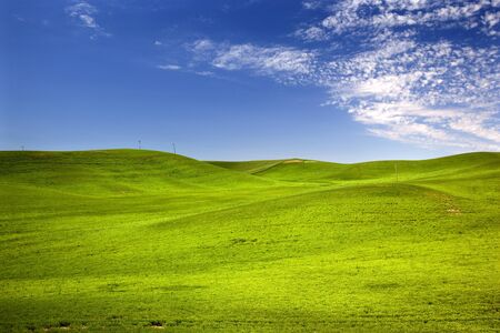 Green Wheat Grass Fields Blue Skies Palouse Washington State Pacific Northwestの写真素材