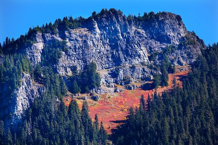 Autumn Carpet, Leaves, Mountain, Snoqualme Pass, Washingtonの写真素材