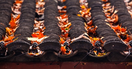 Ancient Chinese House Roof Tiles Designs Autumn Leaves West Lake Hangzhou Zhejiang China の写真素材