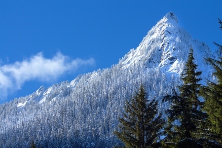 McClellan Butte Snowy Trees Snow Mountain Cascade Mountains Snoqualme Pass Washingtonの写真素材