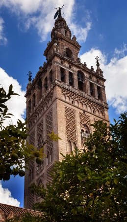 Giralda Spire, Bell Tower, From Orange Garden, Seville Cathedral, Cathedral of Saint Mary of the See, Seville, Andalusia Spain   Built in the 1500s   Largest Gothic Cathedral in the World の写真素材