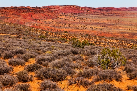 Painted Desert Colorful Yellow Grass Lands Orange Sandstone Red Hills Windows Section Arches National Park Moab Utah USA Southwest. の写真素材