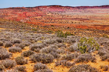 Painted Desert Colorful Yellow Grass Lands Orange Sandstone Red Fiery Furnace Arches National Park Moab Utah USA Southwest  の写真素材