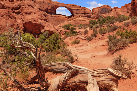 Red Brown Skyline Arch Rock Canyon Arches National Park Moab Utah USA Southwest  の写真素材