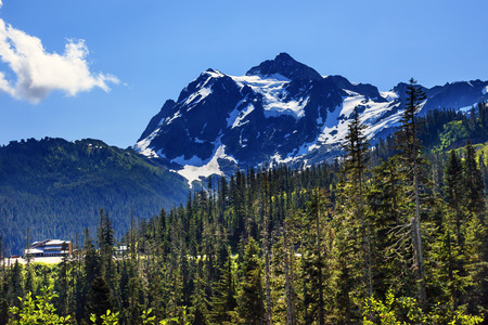 Mount Shuksan Evergreens Mount Baker Ski Area Snow Mountain Washington Pacific Northwestの写真素材
