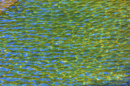 911 Memorial Pool Blue Yellow Green Reflections Pattenrs Abstract New York NY.  Pool is in the foundation of one of the Two World Trade Center Buildings.  Water falls into hole of the foundation.の写真素材