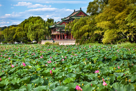 Red Pavilion Lotus Pads Garden Summer Palace Park, Beijing China Willow Green Treesのeditorial素材